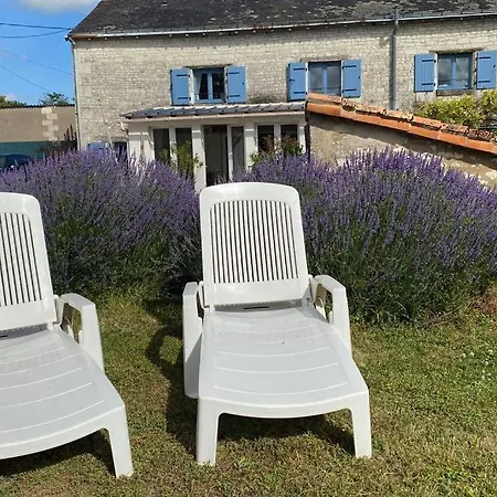度假居 Loire Valley Luxury Le Bouchet (Vienne)