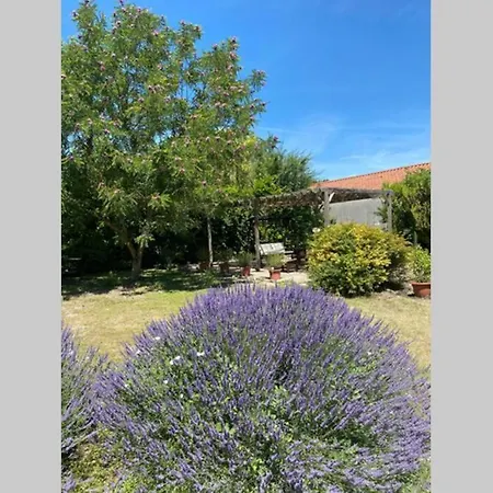 Loire Valley Luxury
